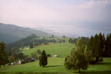 Zürichsee